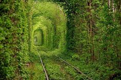 tunnel-of-love-2%255B2%255D.jpg (790×525) #tunnel #kleven #ukraine