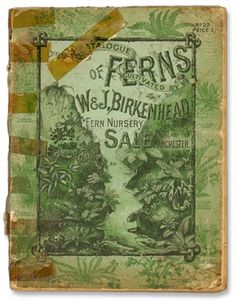 1899+Fern+catalogue.jpg 515×659 pixels #cover #book