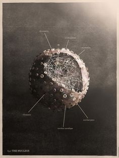 The Collective Loop #nucleus #mrk #posters