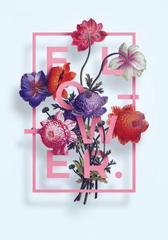 Floral Posters Series
