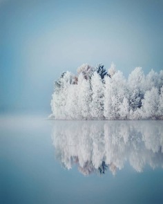 Mesmerizing Winter Wonderland Photos of Lapland in Finland
