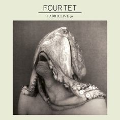 Pitchfork: New Four Tet: #album #art