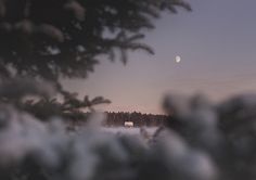 Update: Photography by Anna Ådén I Art Sponge #sweden #snow #night #dn #photography #anna #moon