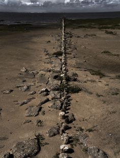 Sylt Island / Carsten Witte #carsten #germany #witte #island #photography #sylt #beach