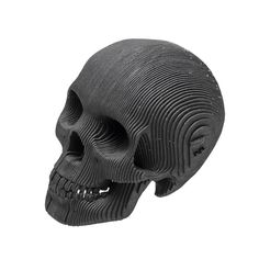 Vince, micro human skull #sculpture #white #slices #design #black #art #and #skull