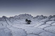 Grey Matter(s): Incredible and Mystical Nature Landscapes by Tom Jacobi