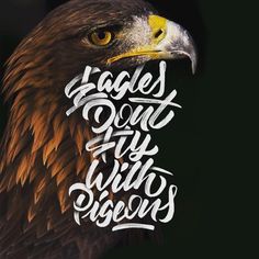 Eagles don't fly with pigeons!