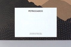 Petricca Co. Identity - Mindsparkle Mag Petricca Co. Identity is a beautiful project designed by Bunch of brand identity for a London based alternative investment fund manager operating in real estate, renewable energy, art, luxury and precious metals. #logo #packaging #identity #branding #design #color #photography #graphic #design #gallery #blog #project #mindsparkle #mag #beautiful #portfolio #designer