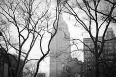 tumblr_m0lbsmDNtc1qmlhp5o1_1280.jpg (JPEG Image, 1280x853 pixels) #york #photography #new