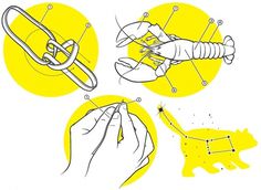 How To Make the Most of Summer | BLDGWLF #constellation #rope #illustration #whistle #summer #lobster #jumpsie