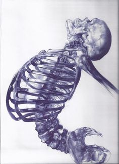 Scheletro umano by Andrea Schillaci. #indigo #skeleton