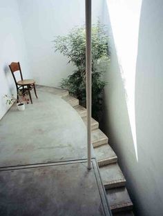 eucarionte #courtyard #wall #stairway