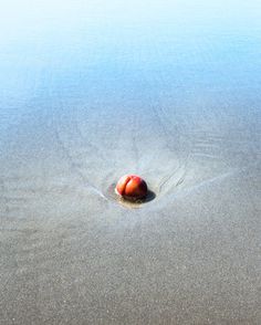 Various Viewpoints | PDN Photo of the Day #cleavage #ripples #humour #fruit #arse #peach #photography #sand #sea #bum #coast