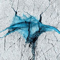 THAW: Timo Lieber Captures The Fragile Beauty of The Melting Arctic Polar Ice Cap