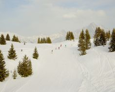 skis, piste, minimal, white, skiers, snow, white, graphic, landscape. #white #mminimal #graphic #snow #landscape #piste #skis #skiers