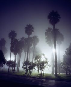 nightlandscapes-9 #night #photography #light