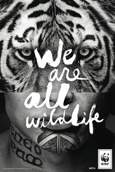 For WWF, we are all animals