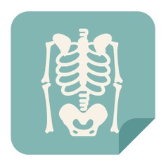 See more icon inspiration related to skeleton, medical, bones and x rays on Flaticon.