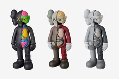 Kaws: Companion Flayed Open Dissected