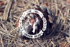 The Cool Green Deer - Videoclip - Carlosbull | Diseño Gráfico y fotografía @ Logroño, Spain :: Carlos de Toro Hernando #deer #design #graphic #bokeh #wood #video #photography #videoclip #logo #forest #cool