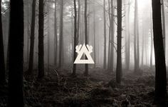 Gareth Hughes ‐ Portfolio #smog #shape #pyramid #forest #monochromatic