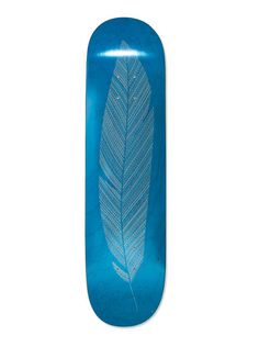 bordobello_1 #photo #feather #skate #skateboard #blue