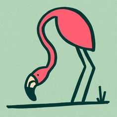 The Birds & The Birds — #5 Flamingo