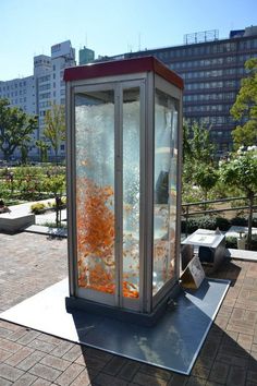 Aquarium for gold fish club creative phone booth in Osaka #phone #public #booth #art #street #exterior #telephone
