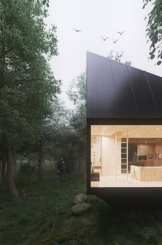 forest, cabin