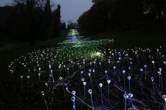 Field of Light, A large scale lighting installation made up of over 15,000 separate lights. These are 'Planted' in a variety of environm #lighting #art #installation