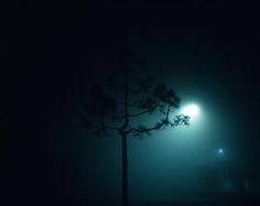 nightlandscapes-38 #night #photography #light