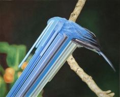 Maurizio Bongiovanni » ISO50 Blog – The Blog of Scott Hansen (Tycho / ISO50) #maurizo #bongiovanni #bird #painting #art
