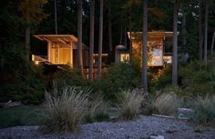 A 1959 Forest Cabin Was Turned into a Weekend Retreat in Rural Washington 1