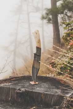 Likes | Tumblr #wood #forest #knife