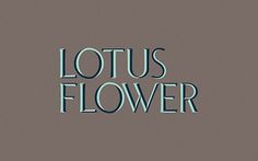 Lotus Flower, POGO | art & design boutique #type #design #typography