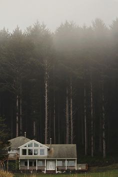 Schedvin #cabin #woods