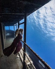 Astonishing Underwater Photography by André Musgrove