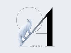 A for Arctic Fox