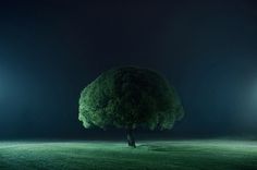 Open Eye Photography Blog: Mikko Lagerstedt Photography #photography