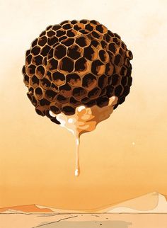 Universe #bee #graphic #book #novel #comic #illustration #hive #honey #desert