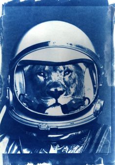 WE ARE ALL ANIMALS by Sylvain Cotte #astronaut #lion #animal #space