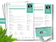 Clean Professional CV - Free Clean Professional Resume + Business Card