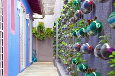 Urban Vertical Garden Built From Hundreds of Recycled Soda Bottles #guerillia #plant