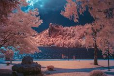 Surreal Infrared Nature Photography by Bradley G Munkowitz