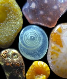 The Art and Science of Colored Sand Grains #grains #of #sand #microscope