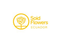 logo, logotype, identity, flowers, roses