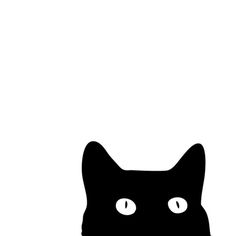 Black Cat by Good Sense