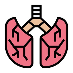 See more icon inspiration related to lung, breath, organ, healthcare and medical, anatomy, body parts, lungs, human body, body part and medical on Flaticon.