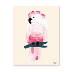 #nordic #design #graphic #illustration #danish #bright #simple #nordicliving #living #interior #kids #room #poster #cockatoo #bird #pink