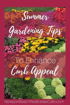 Summer Gardening tips to improve curb appeal